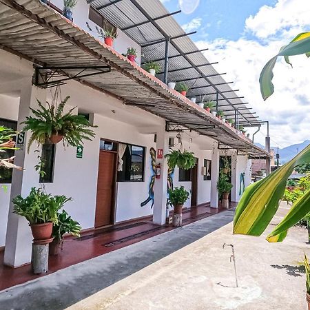 Shoffi'S House Backpackers Hotel Tarapoto Luaran gambar